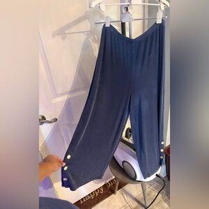 Chico's Navy Travelers Pants - sz3(XL) (P25)